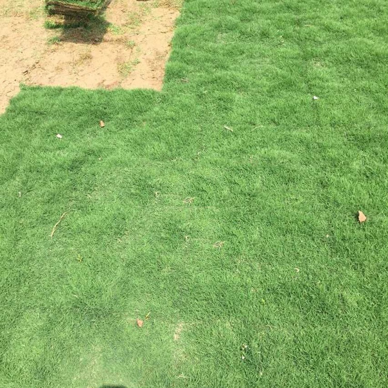 1646887874470911.jpg